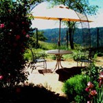 an umbrella table on the brick patio in the garden